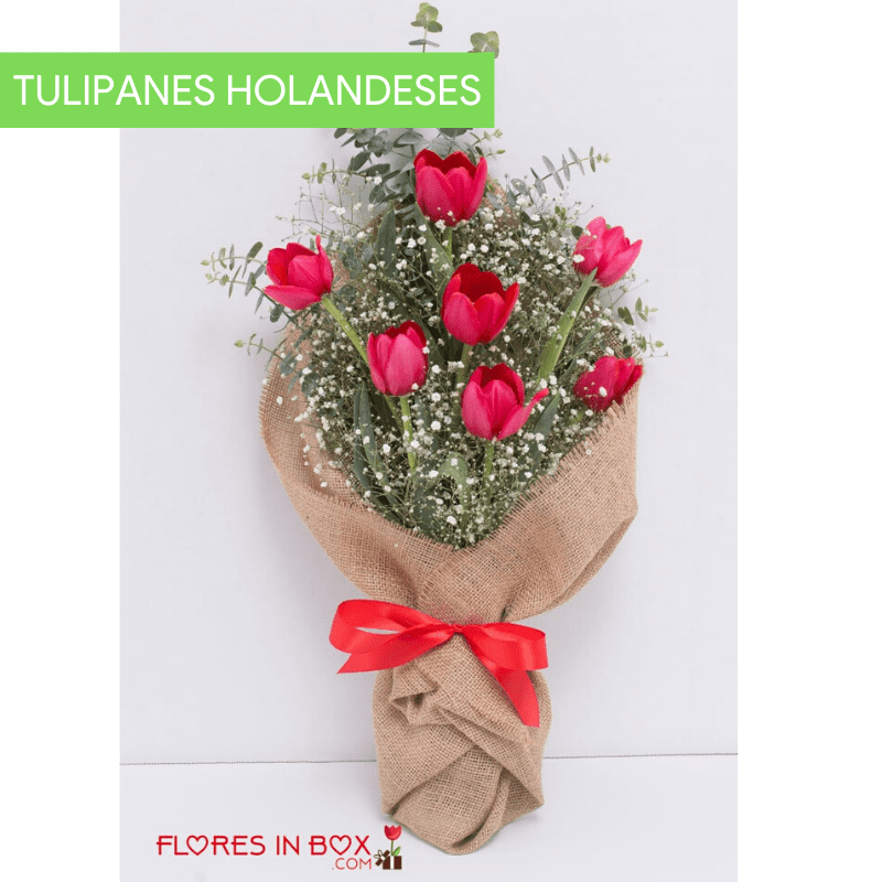 Amor Perfecto (Color de los Tulipanes sujetos a Disponibilidad) -  Floresinbox