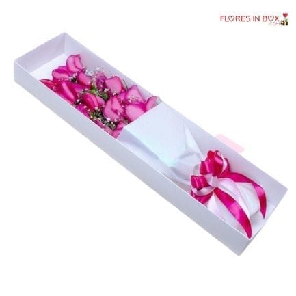 fucsia roses